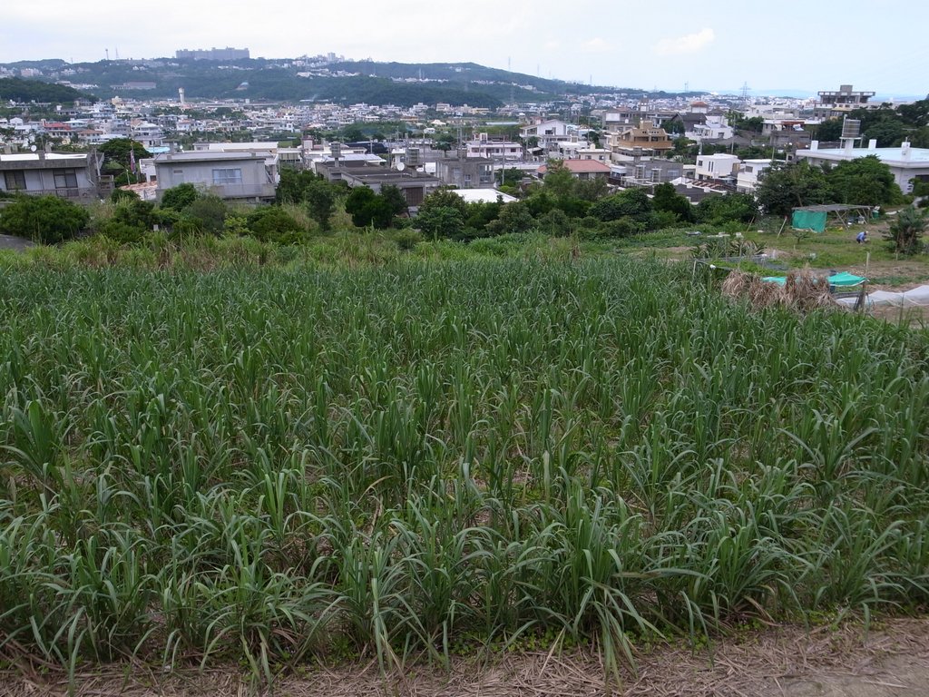 f:id:SQB:20120505170112j:image
