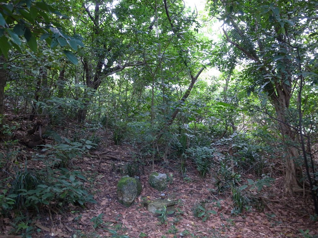 f:id:SQB:20120505170227j:image