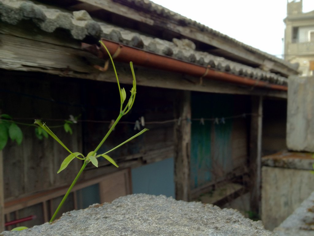 f:id:SQB:20120802202656j:image