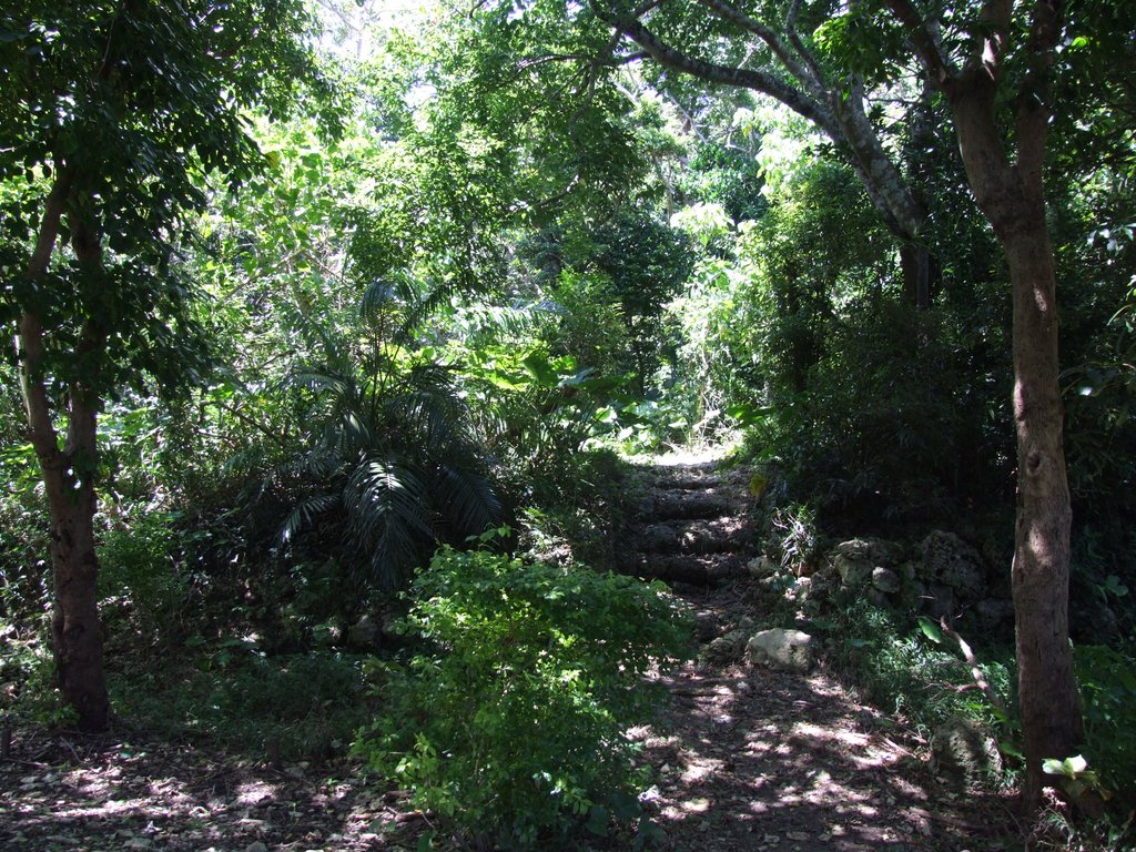 f:id:SQB:20120812165832j:image f:id:SQB:20120812165832j:image