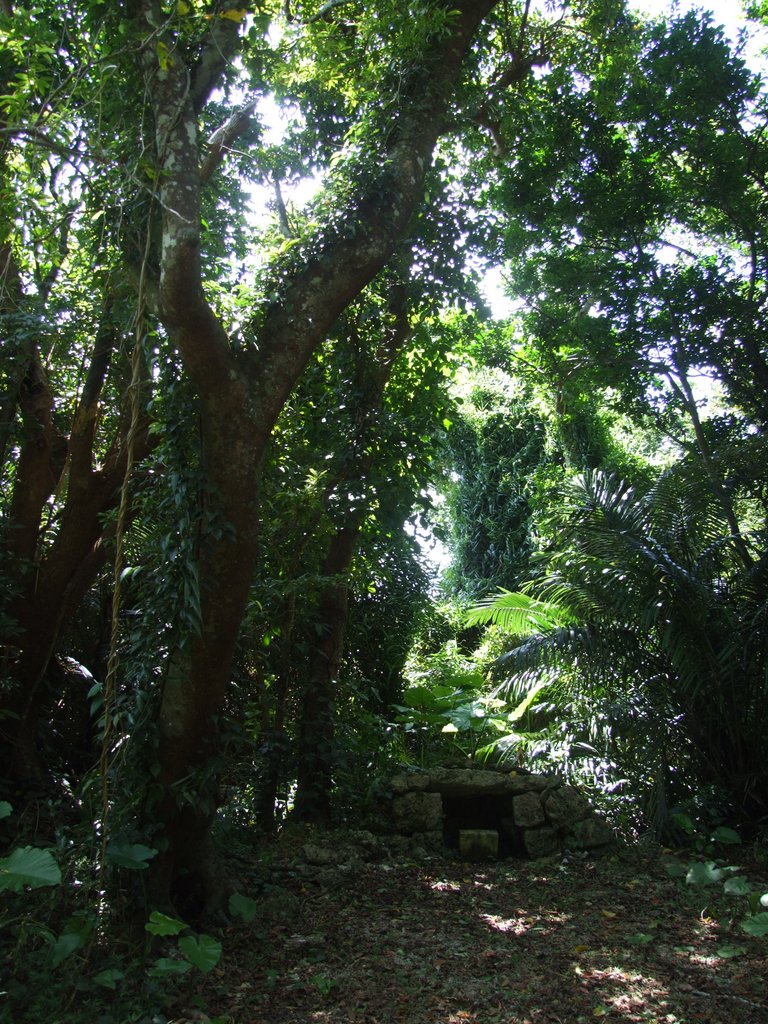 f:id:SQB:20120812165833j:image f:id:SQB:20120812165833j:image
