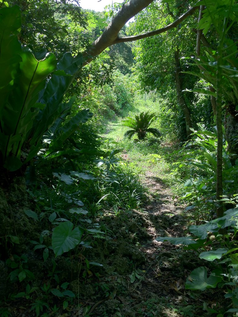 f:id:SQB:20120812165852j:image f:id:SQB:20120812165852j:image
