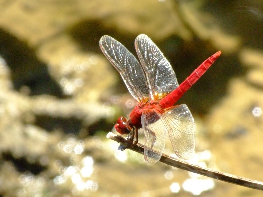 f:id:SQB:20120812165903j:image f:id:SQB:20120812165903j:image