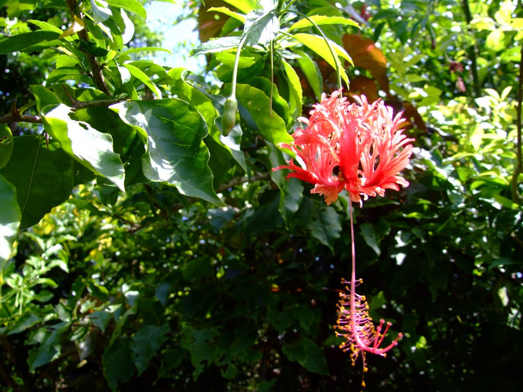 f:id:SQB:20120812165907j:image f:id:SQB:20120812165907j:image