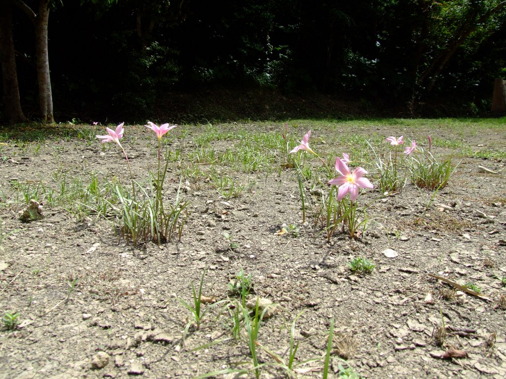 f:id:SQB:20120812165909j:image f:id:SQB:20120812165909j:image