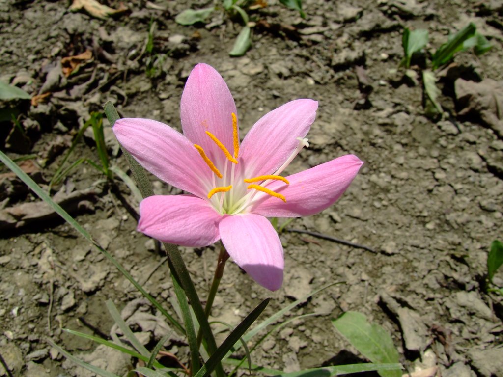 f:id:SQB:20120812165910j:image f:id:SQB:20120812165910j:image