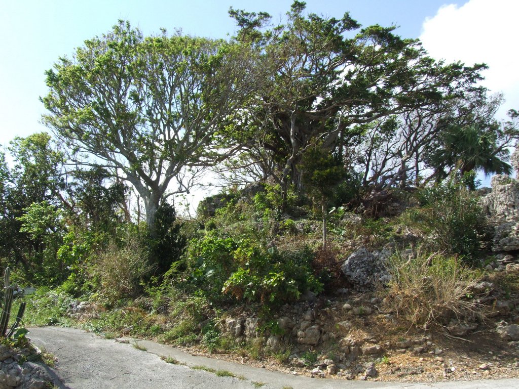 f:id:SQB:20121020154333j:image