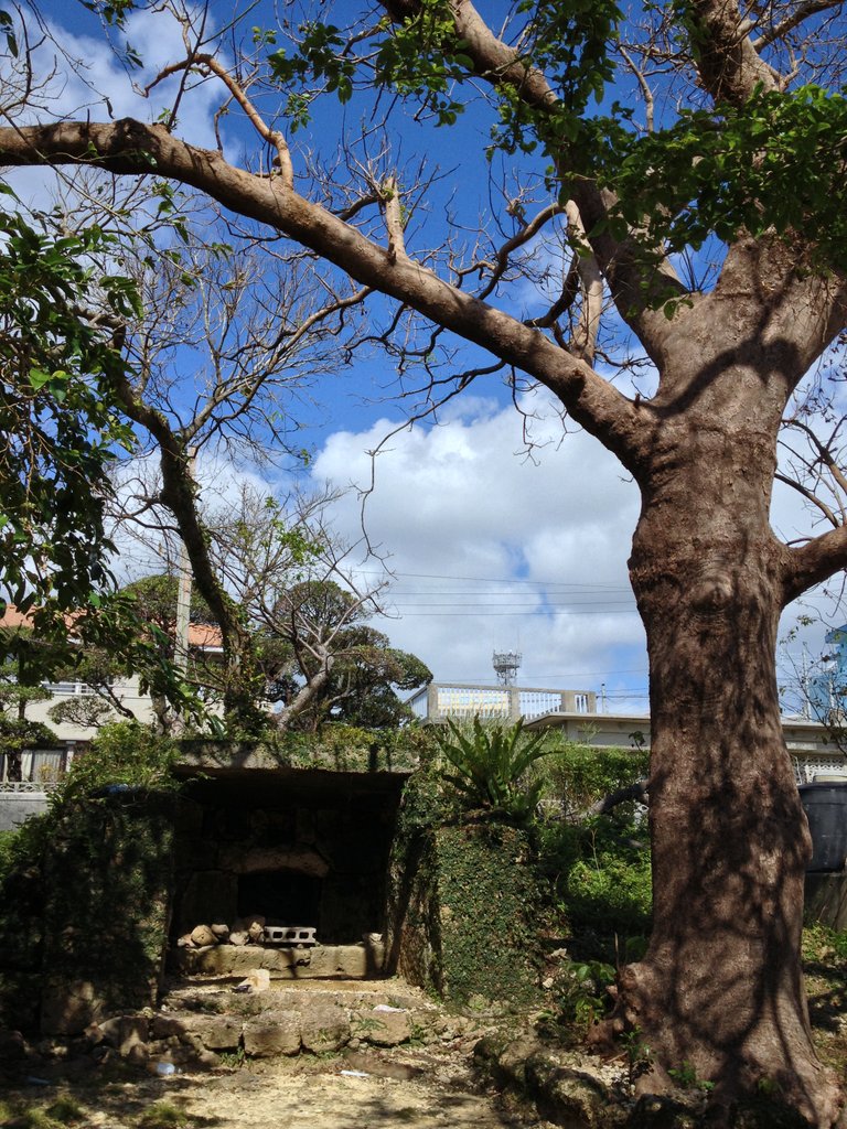 f:id:SQB:20121021162839j:image f:id:SQB:20121021162839j:image