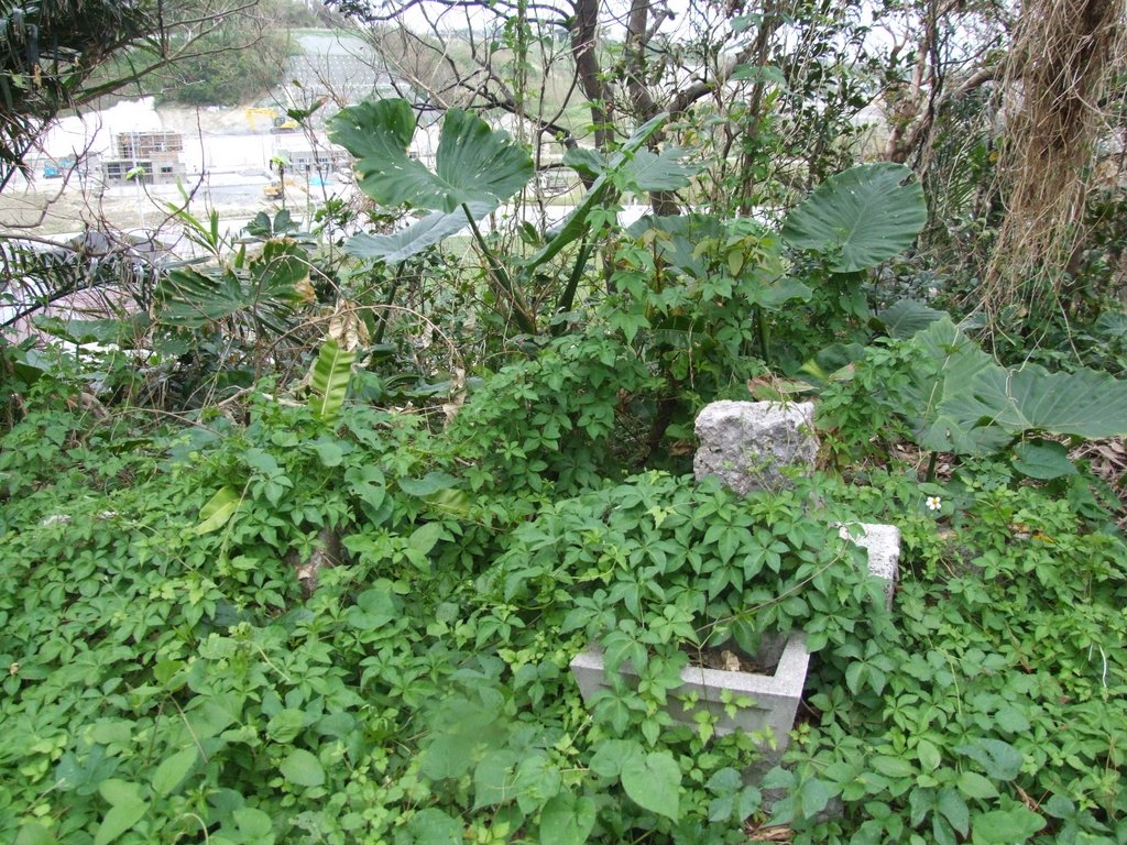 f:id:SQB:20121104165737j:image