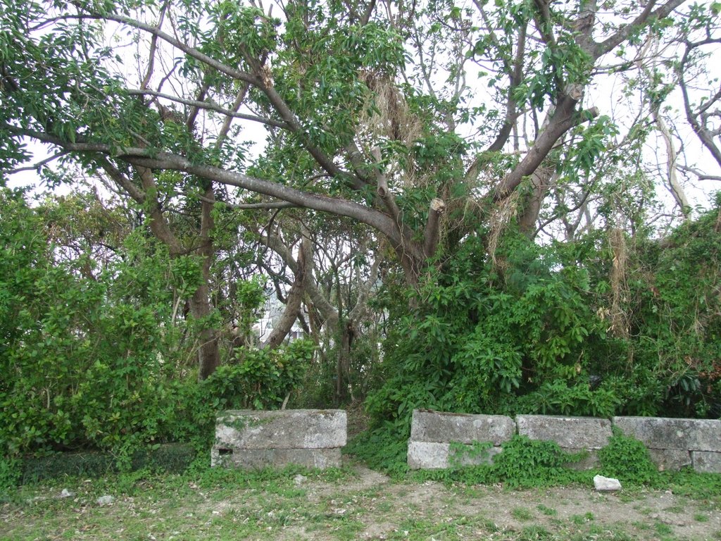 f:id:SQB:20121104165743j:image