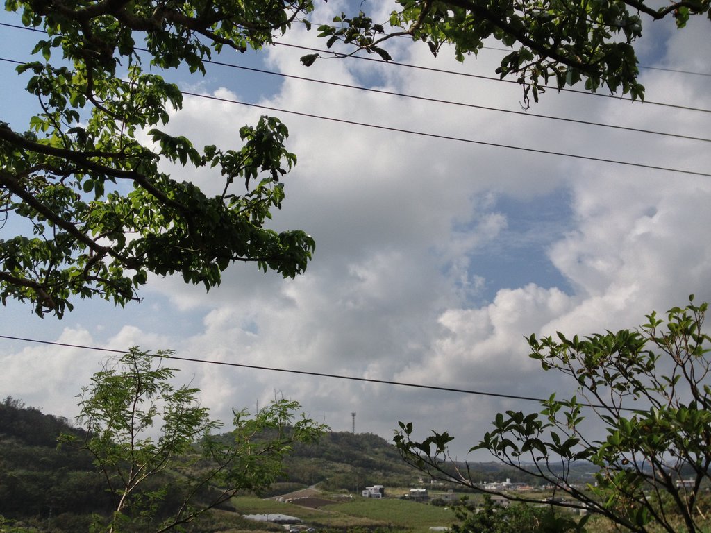 f:id:SQB:20121110161749j:image