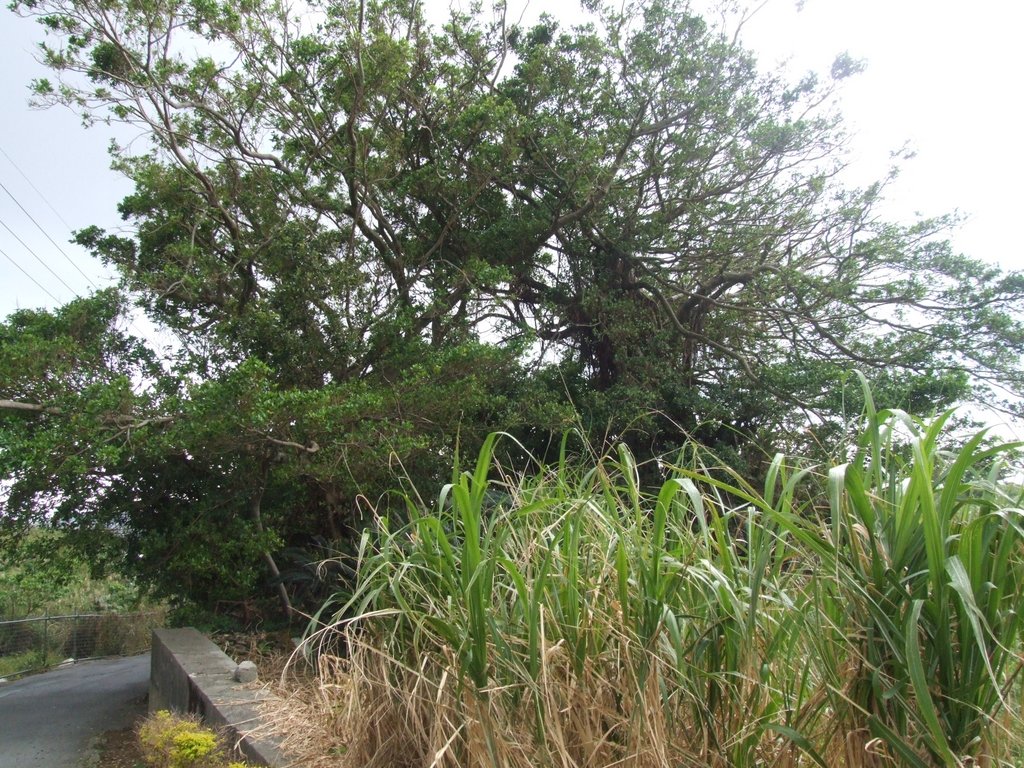 f:id:SQB:20121110165602j:image