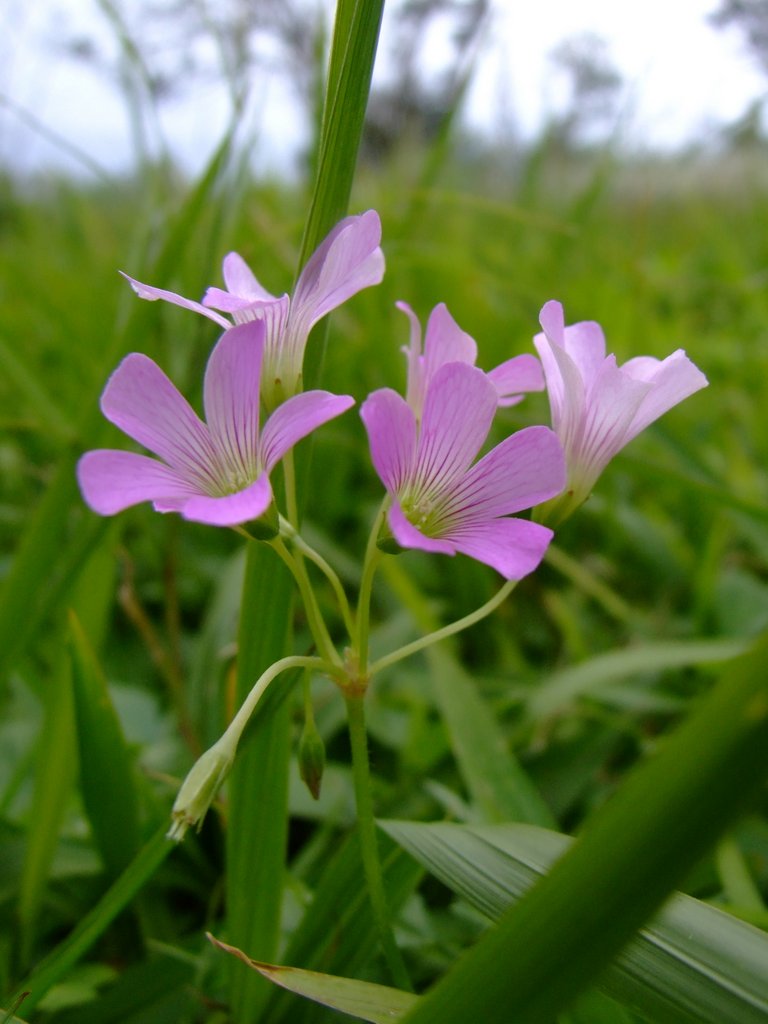 f:id:SQB:20130106163239j:image