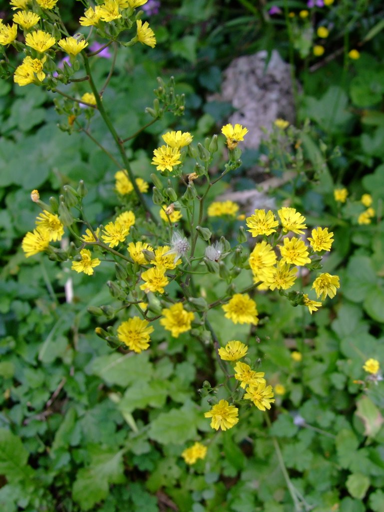 f:id:SQB:20130106163253j:image
