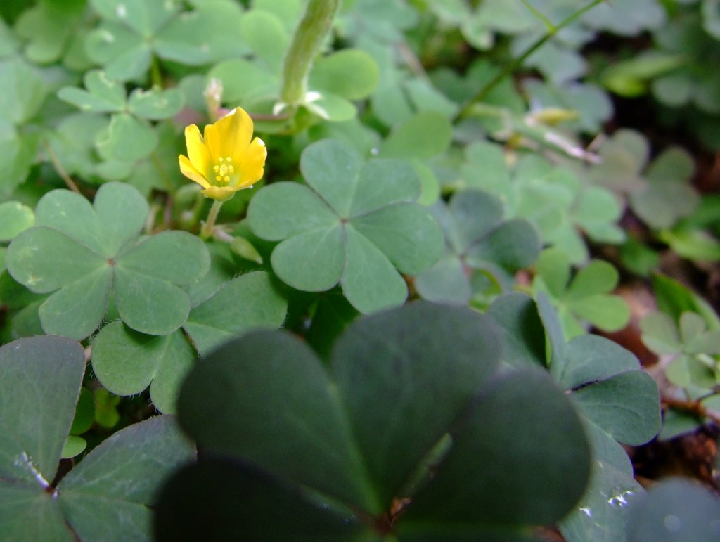 f:id:SQB:20130106163303j:image