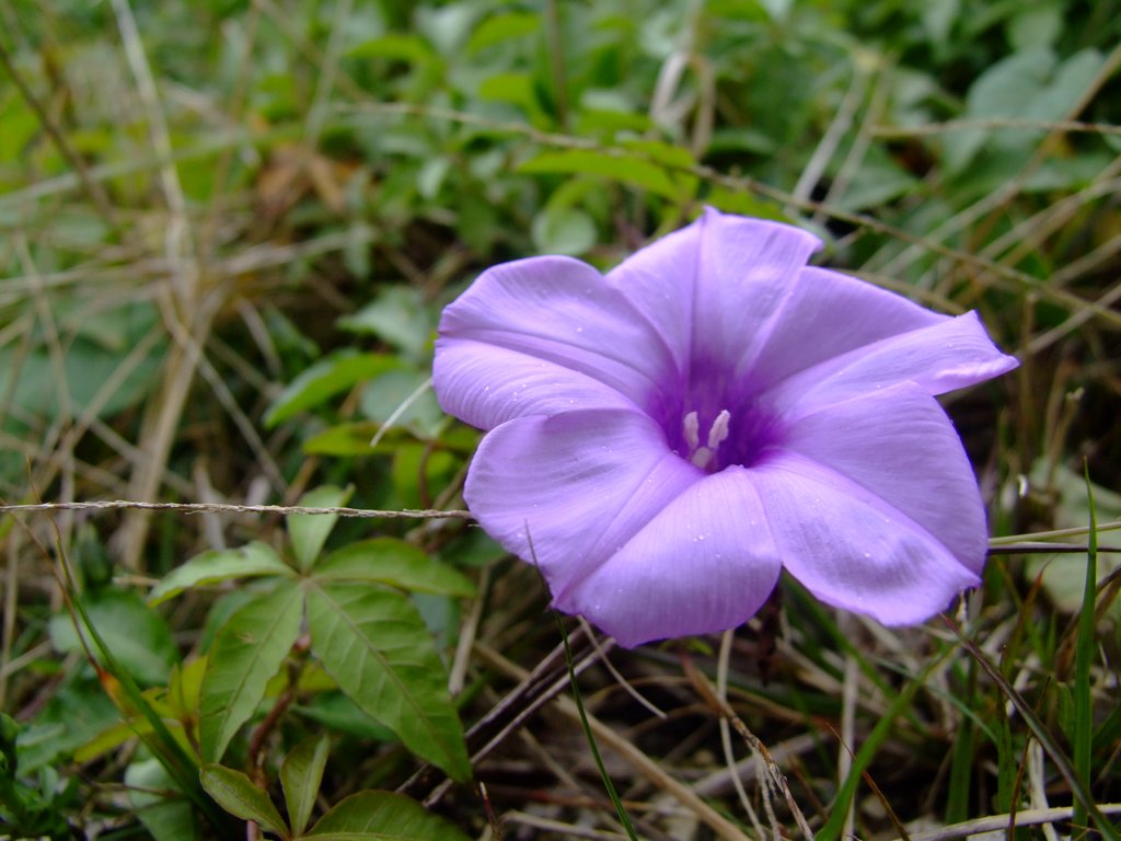 f:id:SQB:20130106163306j:image
