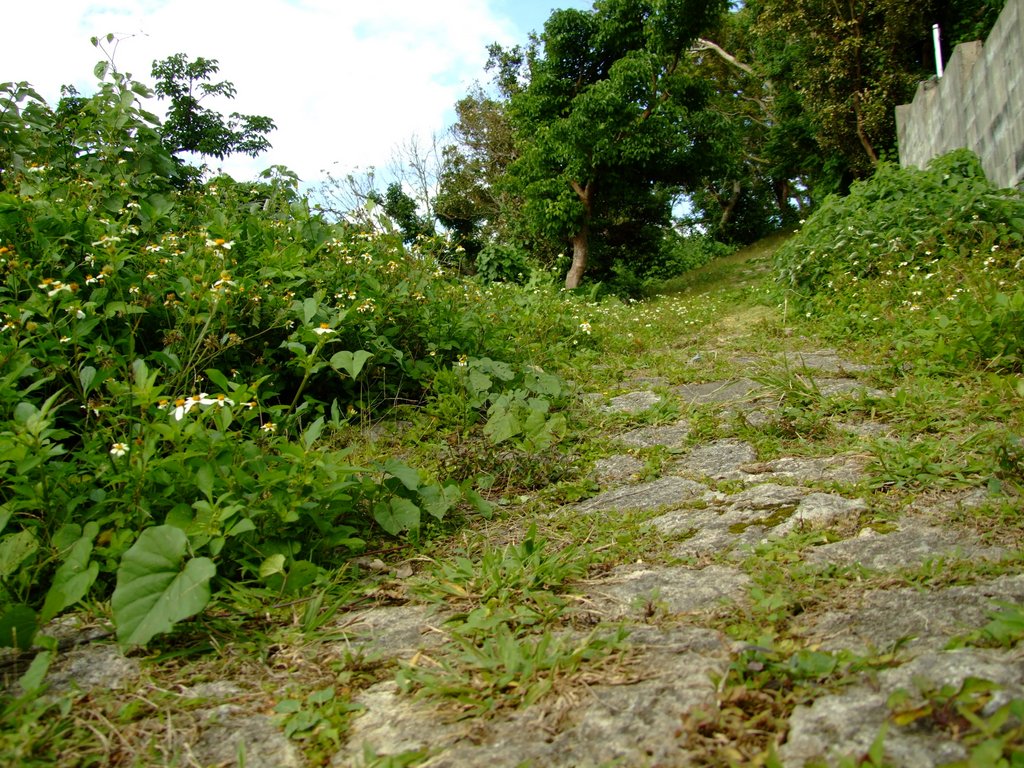f:id:SQB:20130119193539j:image
