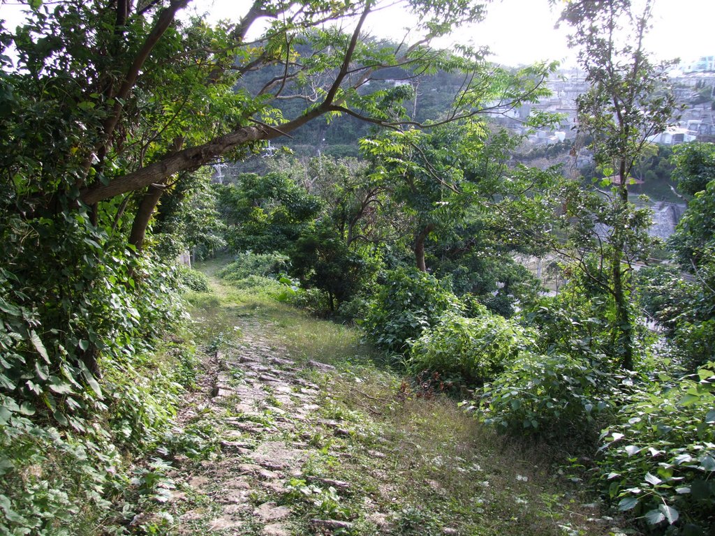 f:id:SQB:20130119193548j:image