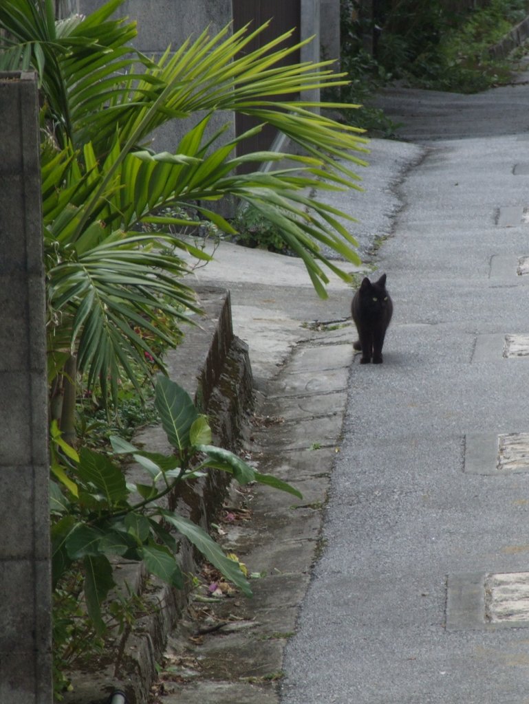 f:id:SQB:20130119201551j:image
