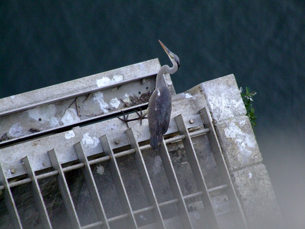 f:id:SQB:20130119210233j:image