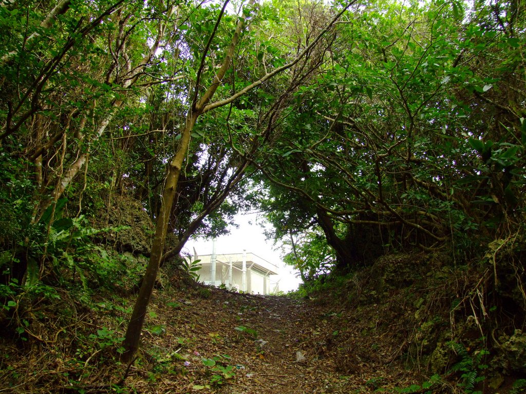 f:id:SQB:20130121134647j:image