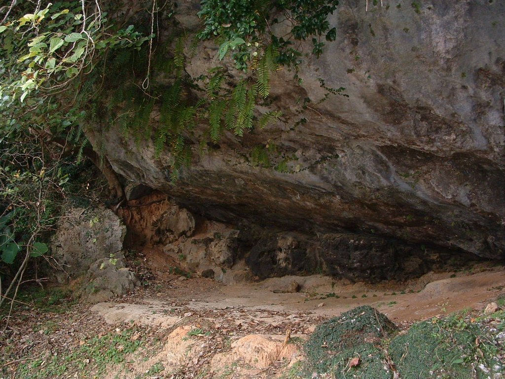 f:id:SQB:20130123203259j:image