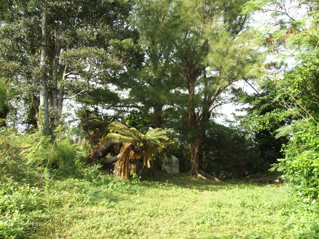 f:id:SQB:20130130144815j:image