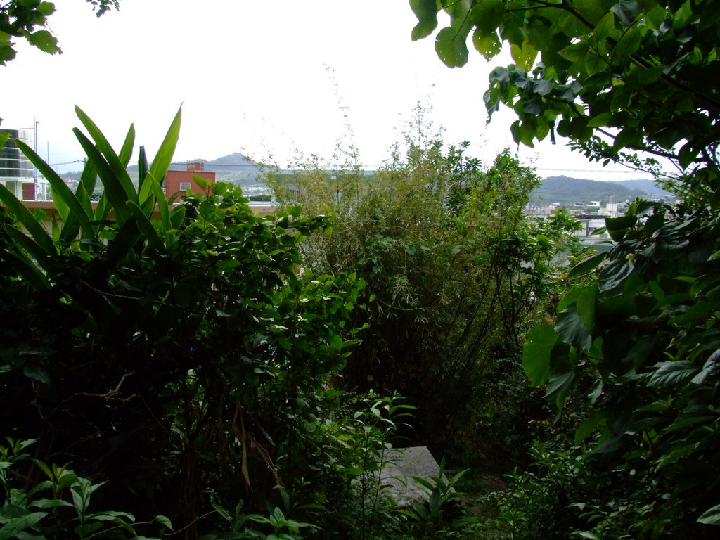 f:id:SQB:20130202183259j:image