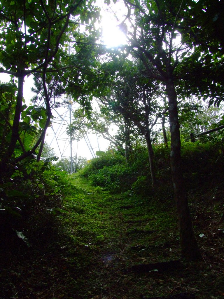 f:id:SQB:20130202193935j:image