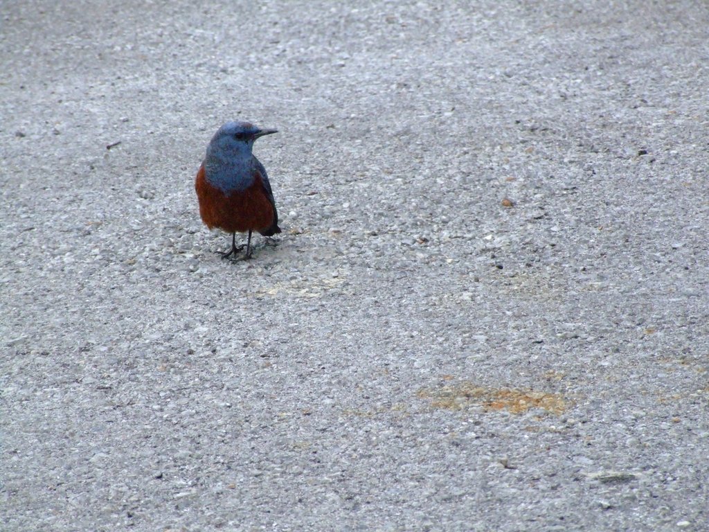 f:id:SQB:20130210172711j:image