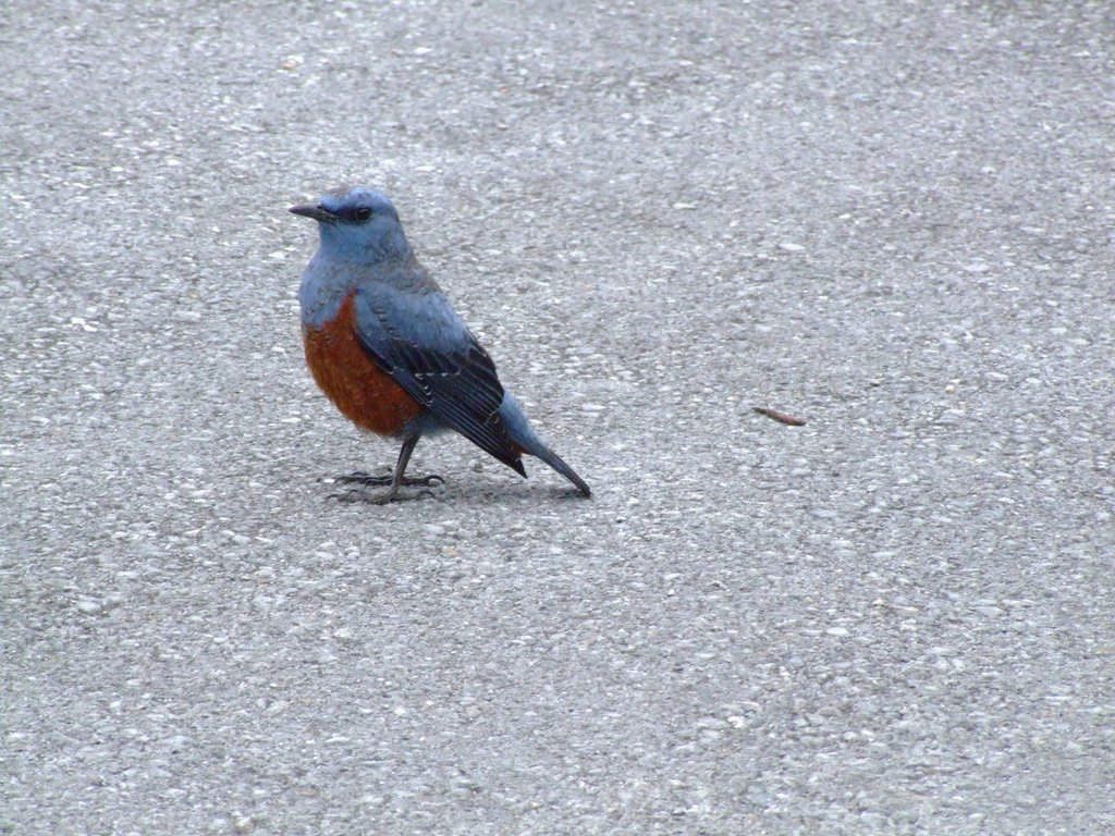 f:id:SQB:20130210172713j:image