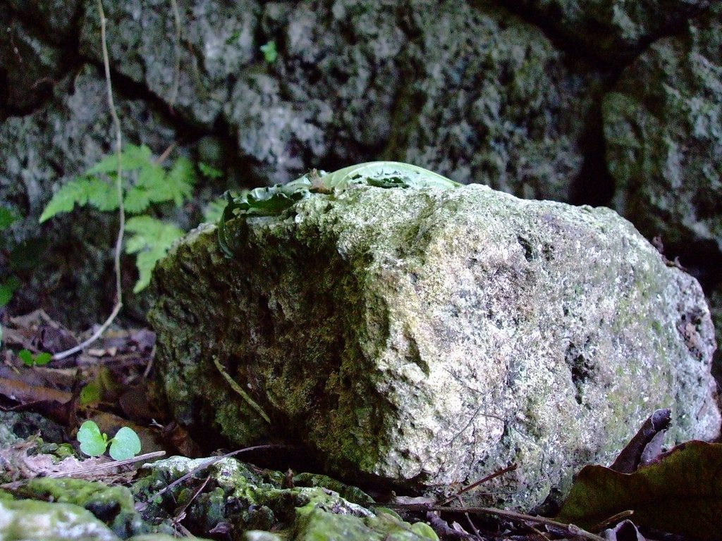f:id:SQB:20130213130944j:image