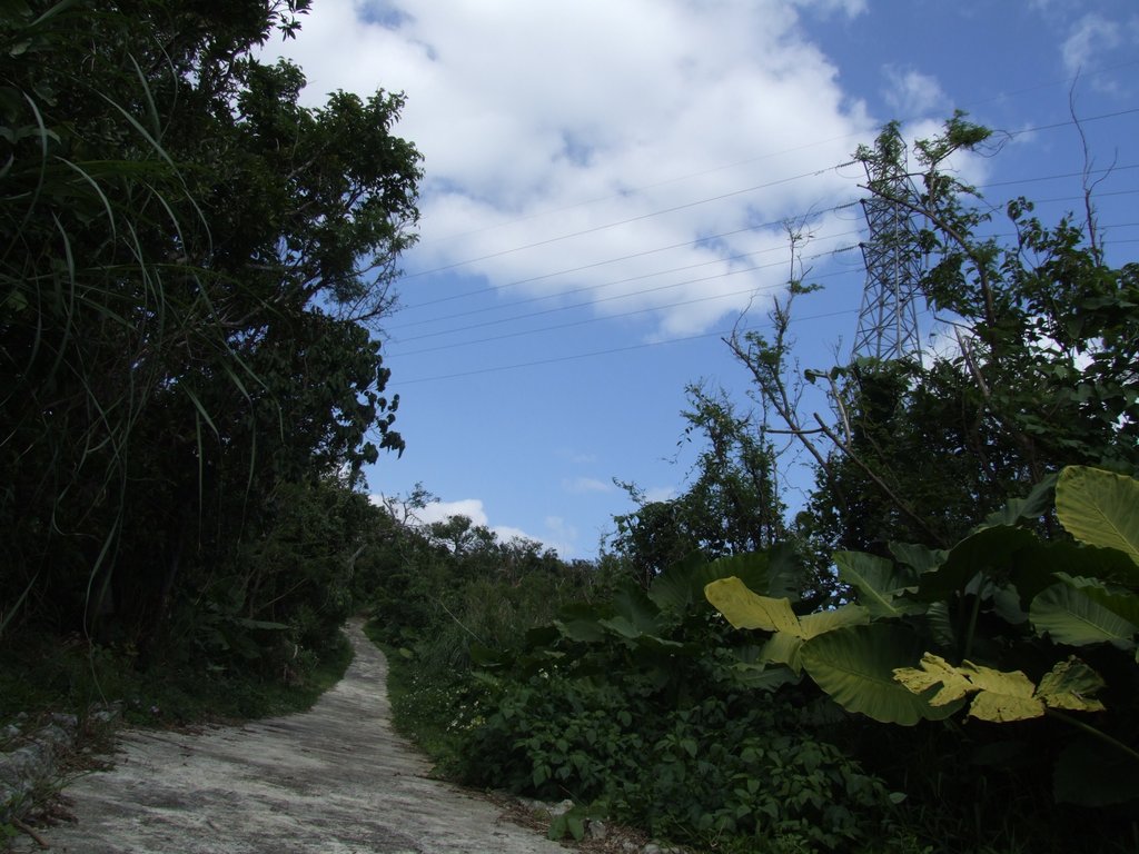 f:id:SQB:20130216195409j:image