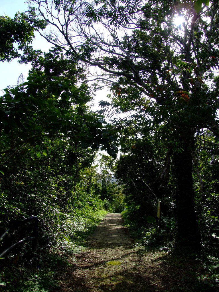 f:id:SQB:20130216205327j:image