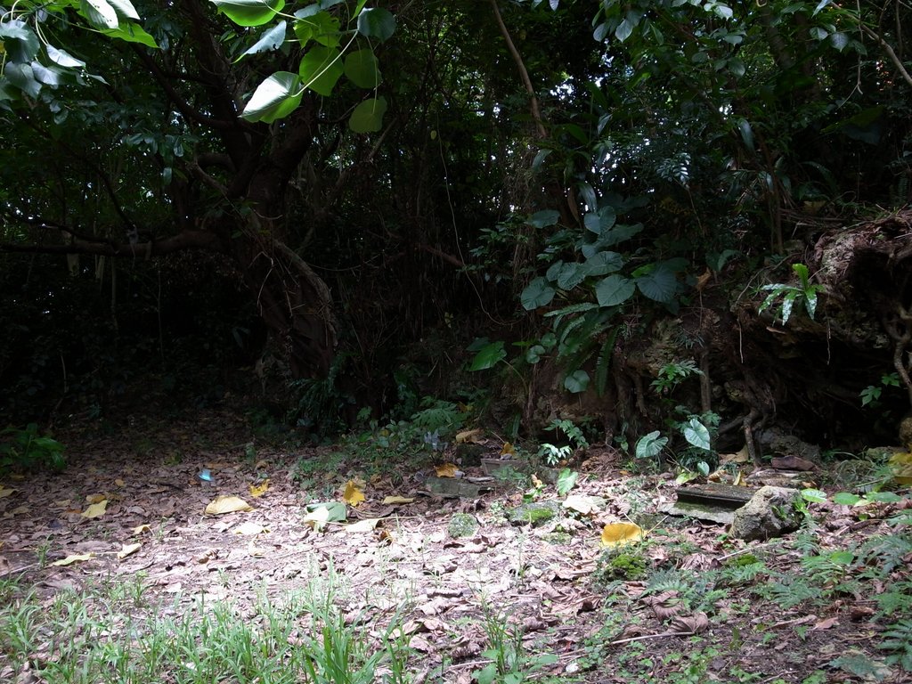 f:id:SQB:20130227192012j:image
