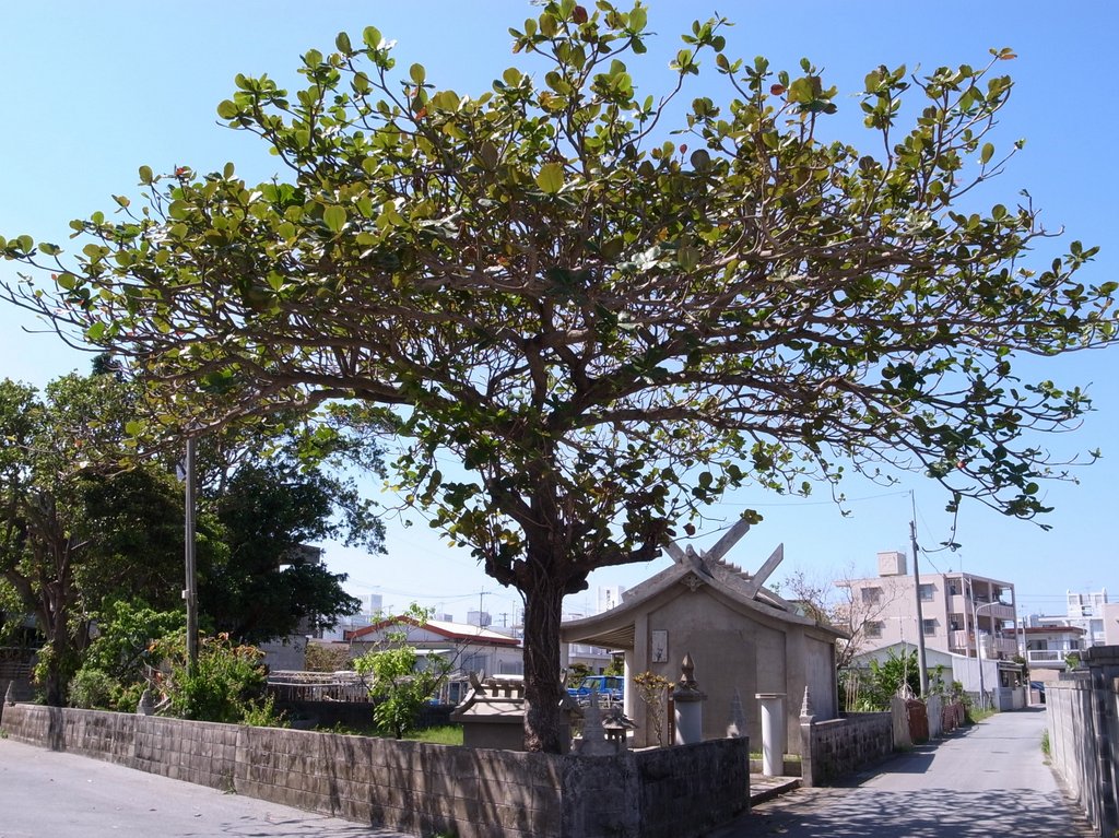 f:id:SQB:20130309161350j:image f:id:SQB:20130309161350j:image