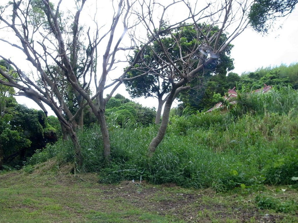 f:id:SQB:20130311124951j:image