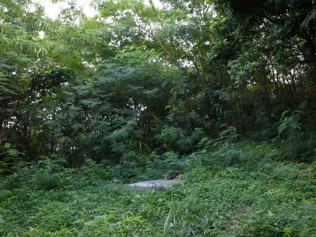 f:id:SQB:20130401195631j:image