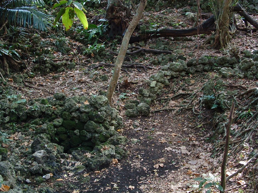 f:id:SQB:20130406163332j:image