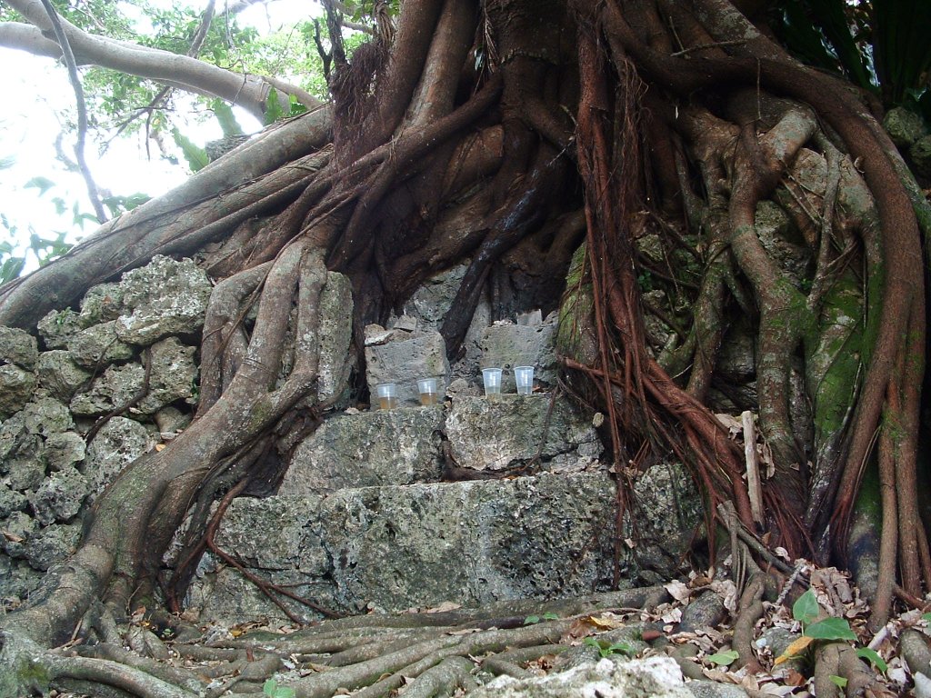 f:id:SQB:20130406165622j:image