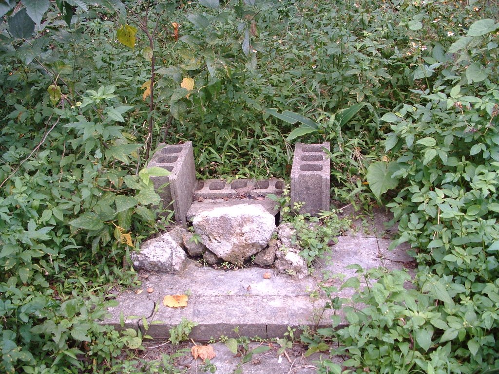 f:id:SQB:20130406165625j:image