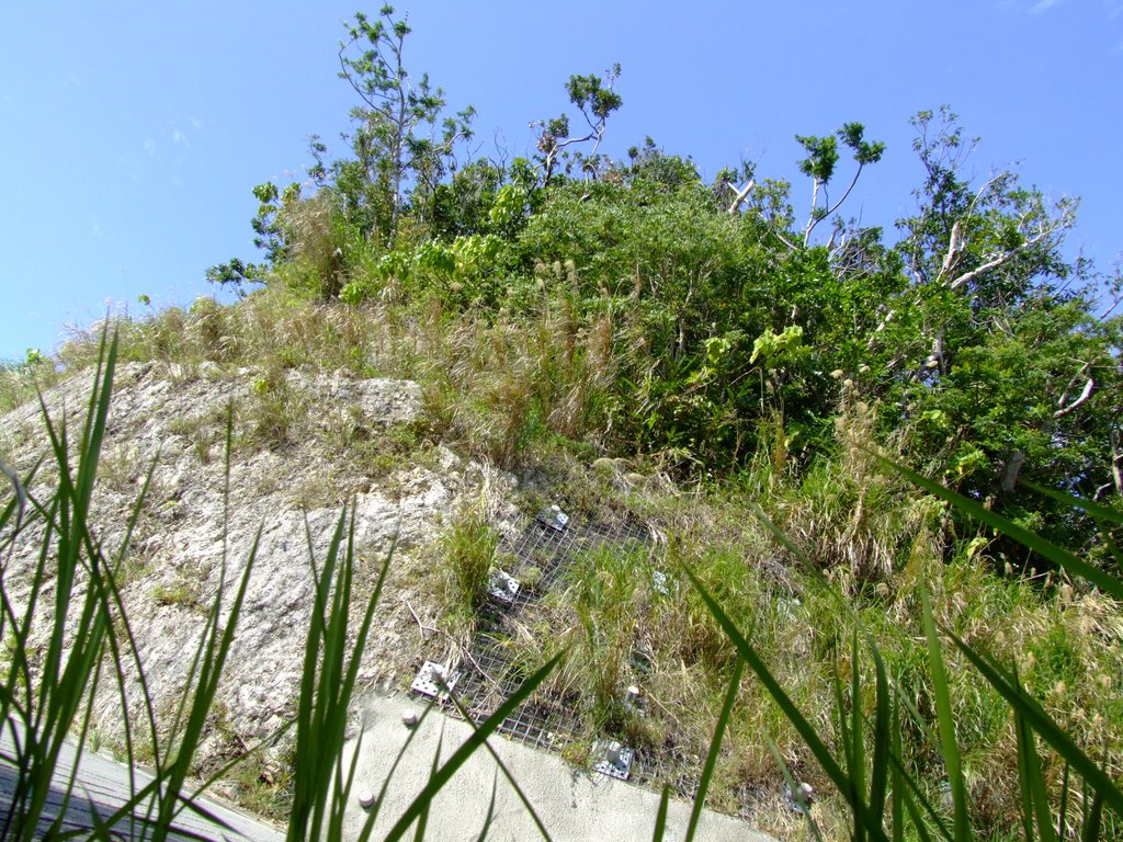 f:id:SQB:20130407163811j:image