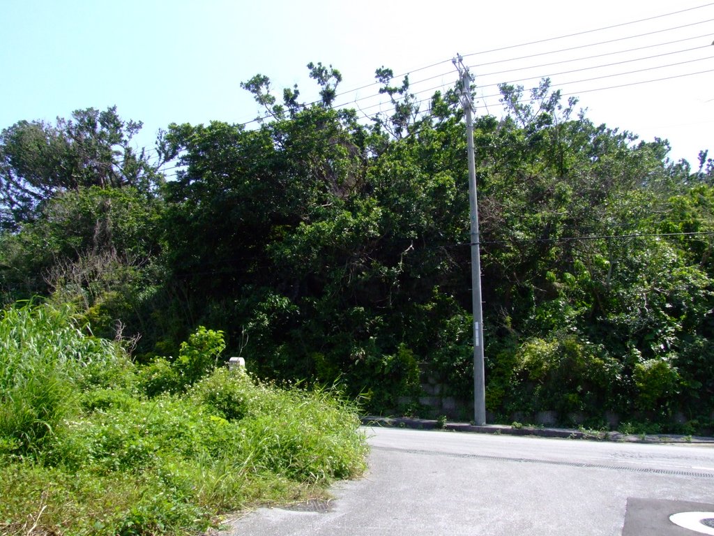 f:id:SQB:20130413171842j:image