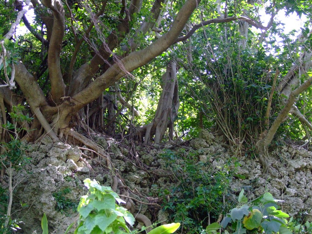 f:id:SQB:20130413171847j:image