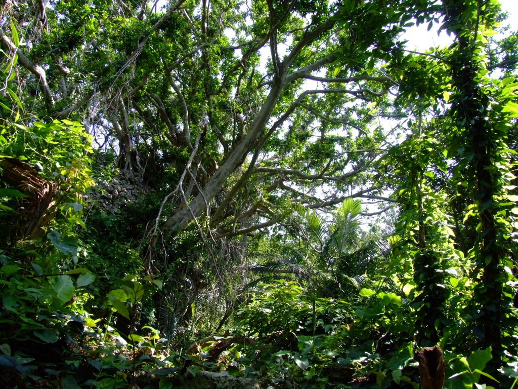 f:id:SQB:20130413171857j:image