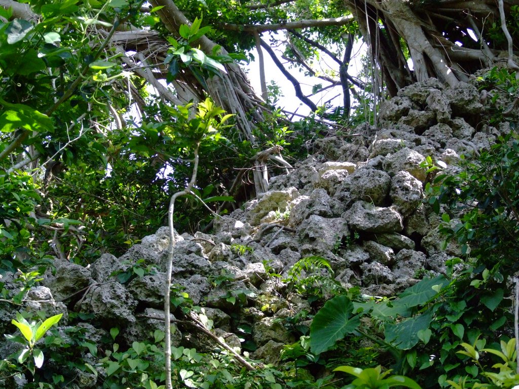 f:id:SQB:20130413171901j:image