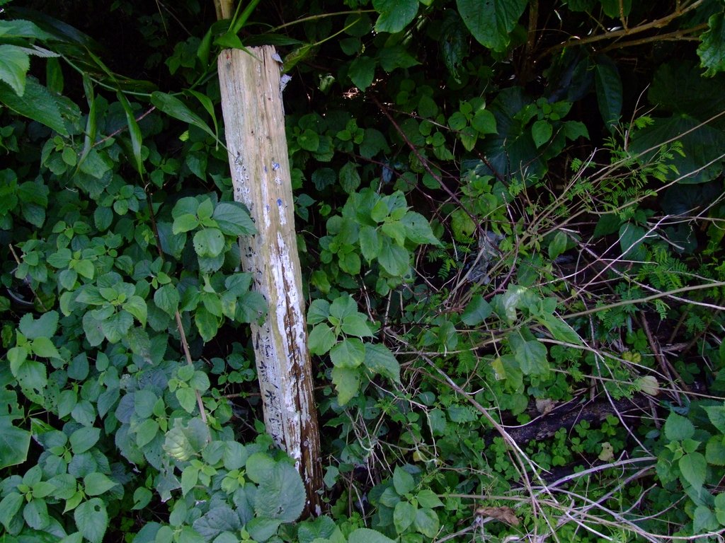 f:id:SQB:20130413171918j:image