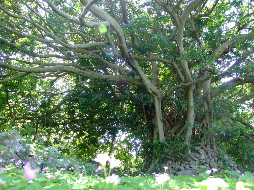 f:id:SQB:20130413171922j:image