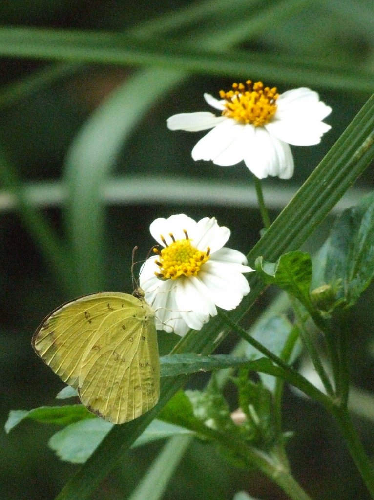 f:id:SQB:20130429175152j:image