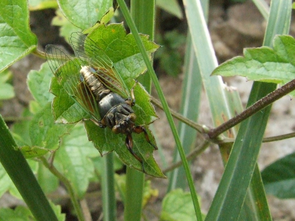 f:id:SQB:20130429175655j:image